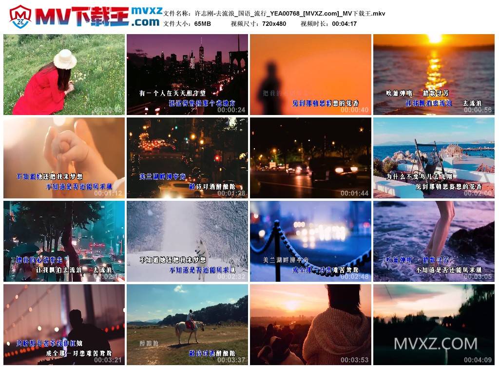 许志刚-去流浪_国语_流行_YEA00768